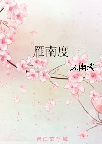 雁南度