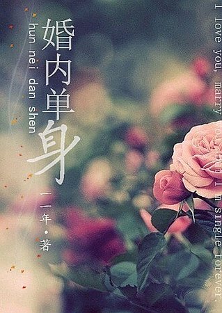 《婚内单身》