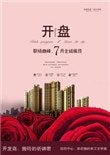 《开盘》