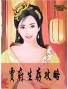 《贾府生存攻略》