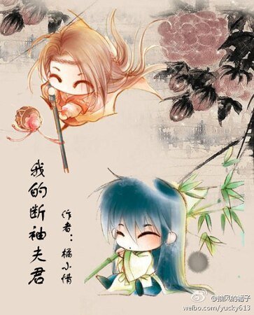 《我的断袖夫君》