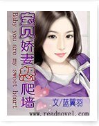 《宝贝娇妻怒爬墙》