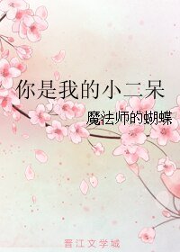《你是我的小二呆》