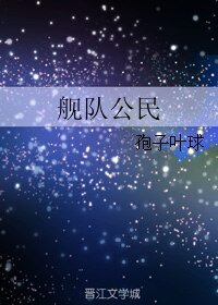 《舰队公民》