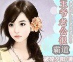 《王爷老公很霸道》