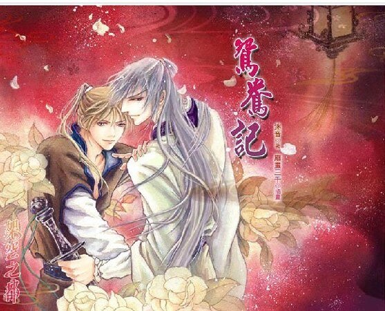 《鸳鸯记 (出书版)》