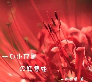 《一只小九尾的妖孽史》