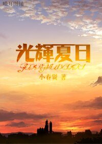 《(网王同人)光辉夏日》