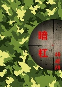 《(电视剧同人)暗杠》