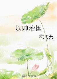 《以帅治国》