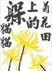 菊花田上的躲躲猫