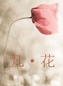 《凡·花》