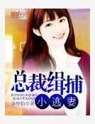 总裁缉捕小逃妻