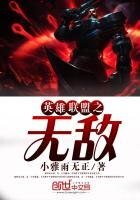 《英雄联盟之无敌》