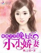 《晚婚早爱:晚好,小小娇妻》