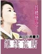 《红楼梦之继续荒唐》