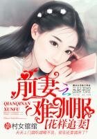 《花样追妻:前妻难驯服》