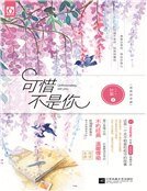《可惜不是你(精装)》