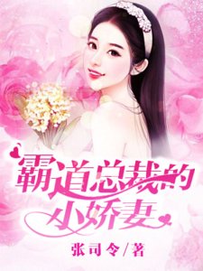 《霸道总裁的小娇妻》