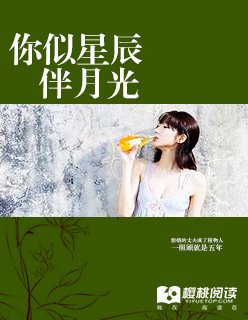 《你似星辰伴月光》