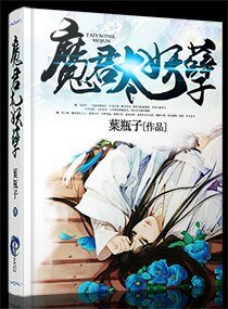 《魔君太妖孽》