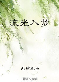 《流光入梦/假如重生是场梦(流光)》