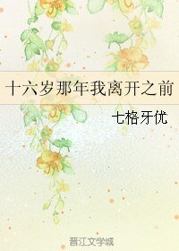 十六岁那年我离开之前