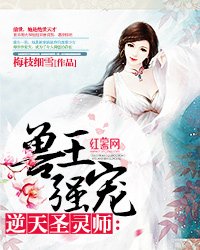 《兽王强宠:逆天圣灵师》