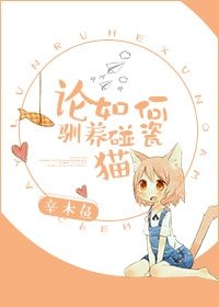 《论如何驯养碰瓷猫》