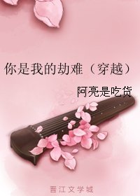 《你是我的劫难(穿越)》