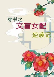 《穿书之文盲女配逆袭记》
