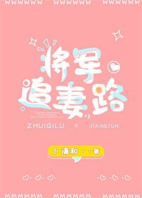 《将军追妻路》