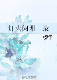 《灯火阑珊 录》