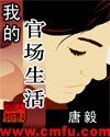 《我的官场生活(又名:市委书记)》