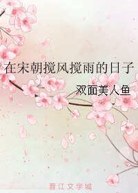 《在宋朝搅风搅雨的日子》