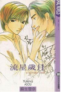 《流星岁月(出书版)》