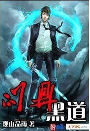 《问鼎黑道》