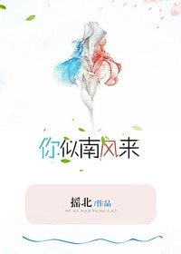 《你似南风来》