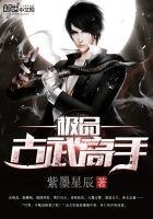 《极品古武高手》