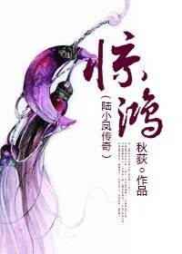 《(陆小凤同人)惊鸿(陆小凤传奇)》