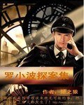 罗小波探案集