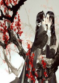 （综同人）凝凰同人之一生征战何人陪