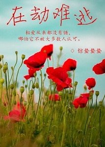 《在劫难逃(GL)》