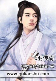 《飞羽传奇》