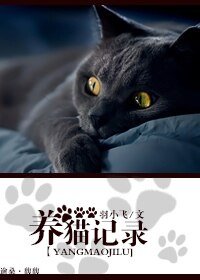 《养猫记录》