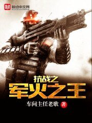 《抗战之军火之王》