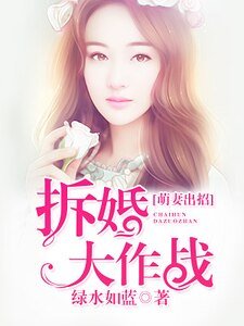 《萌妻出招:拆婚大作战》
