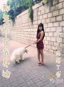《那年你在我身边》