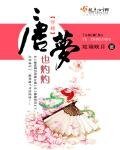 《唐梦也灼灼》