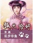《狐光恰好》